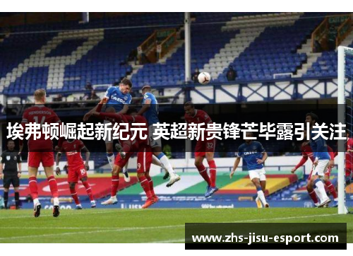 埃弗顿崛起新纪元 英超新贵锋芒毕露引关注 埃弗顿崛起新纪元 英超新贵锋芒毕露引关注
